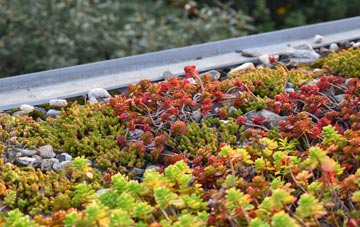 the cost of Chawley green roof installation